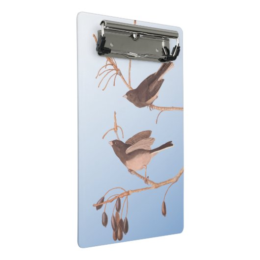 Donkerooige Junco Audubon-sneeuwvogels op de bakaf Mini Klembord (Schuin)
