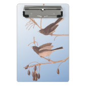 Donkerooige Junco Audubon-sneeuwvogels op de bakaf Mini Klembord (Voorkant)