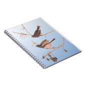 Donkerooige Junco Audubon-sneeuwvogels op de bakaf Notitieboek (Rechterzijde)