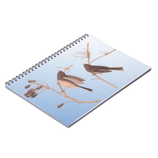 Donkerooige Junco Audubon-sneeuwvogels op de bakaf Notitieboek (Linkerzijde)