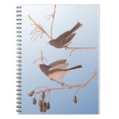 Donkerooige Junco Audubon-sneeuwvogels op de bakaf Notitieboek (Voorkant)