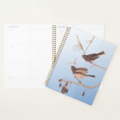 Donkerooige Junco Audubon-sneeuwvogels op de bakaf Planner (Display)