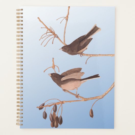 Donkerooige Junco Audubon-sneeuwvogels op de bakaf Planner (Voorkant)