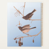 Donkerooige Junco Audubon-sneeuwvogels op de bakaf Planner (Achterkant)