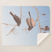 Donkerooige Junco Audubon-sneeuwvogels op de bakaf Sherpa Deken (Voorkant (horizontaal))