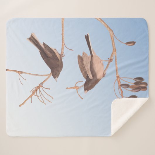 Donkerooige Junco Audubon-sneeuwvogels op de bakaf Sherpa Deken (Voorkant (horizontaal))