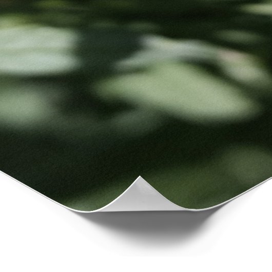 donkeroranje poster (Hoek)