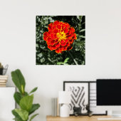 donkeroranje poster (Thuiskantoor)