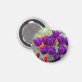 Donkerpaarse tulpen magneet (Voorkant / Achterkant)