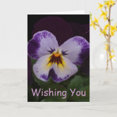 Donkerpaarse Witte Pansies Kaart (Gele Bloem)