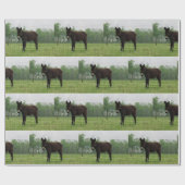 Donkerpakpapier Cadeaupapier (Vlak)