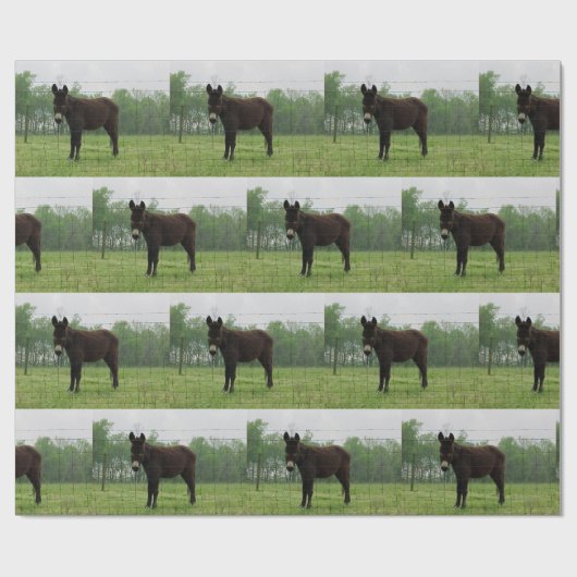 Donkerpakpapier Cadeaupapier (Vlak)