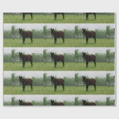 Donkerpapier voor onmiddellijke verpakking cadeaupapier (Vlak)