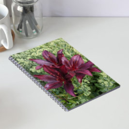 Donkerrode Aziatische Lelie Bloemen Notitieboek