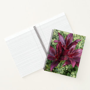 Donkerrode Aziatische Lelies Bloemen Notitieboek