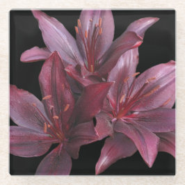 Donkerrode Aziatische lelies op zwarte bloemen Glazen Onderzetter