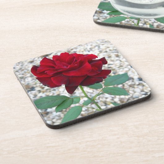 Donkerrode roos drankjes onderzetter (Linkerzijde)