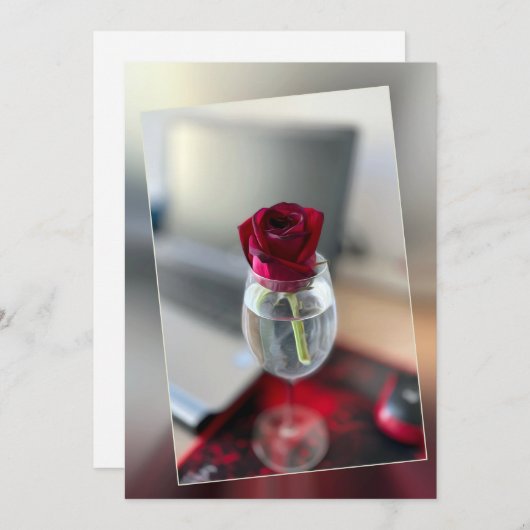 Donkerrode roos feestdagenkaart (Voorkant / Achterkant)