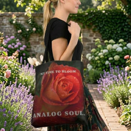 Donkerrode Roos Macro Analoge Ziel Zwarte Tote Tas