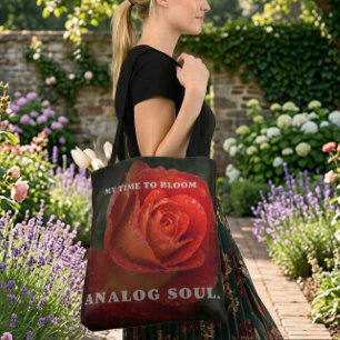 Donkerrode Roos Macro Analoge Ziel Zwarte Tote Tas