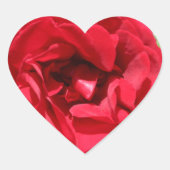 Donkerrode rozenbardou hart sticker (Voorkant)