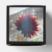 Donkerrode zonnebloem bedankdoosjes (Bovenkant)