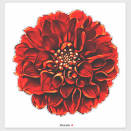 Donkerrood Bord Dahlia Pinnata Flower Sticker