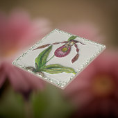  donkerrood dame slipper orchidee botanisch tegeltje