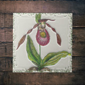  donkerrood dame slipper orchidee botanisch tegeltje