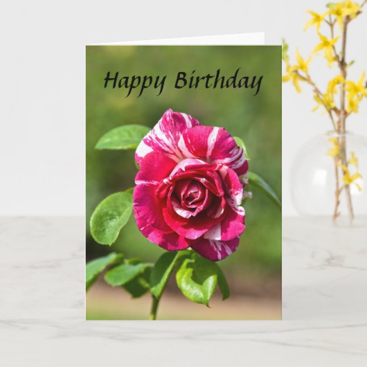 "Donkerroze en wit gestreept Roos, Happy Birthday Kaart (Gele Bloem)