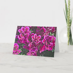 Donkerroze Geraniums Kaart