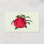 Donkerroze hibiscus visitekaartje (Achterkant)