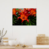 Donkerroze Oranje Lelie Poster (Keuken)
