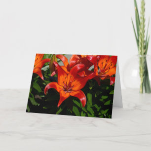 Donkerroze Oranje Lily Kaart