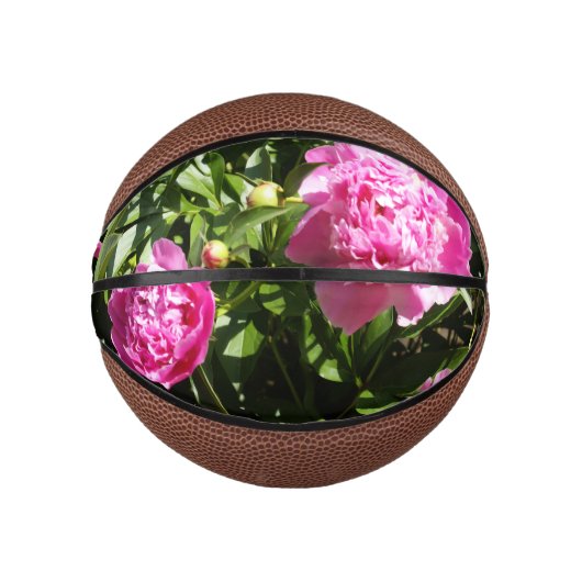 Donkerroze pinda's basketbal (Voorkant)