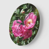 Donkerroze pinda's grote klok (Hoek)