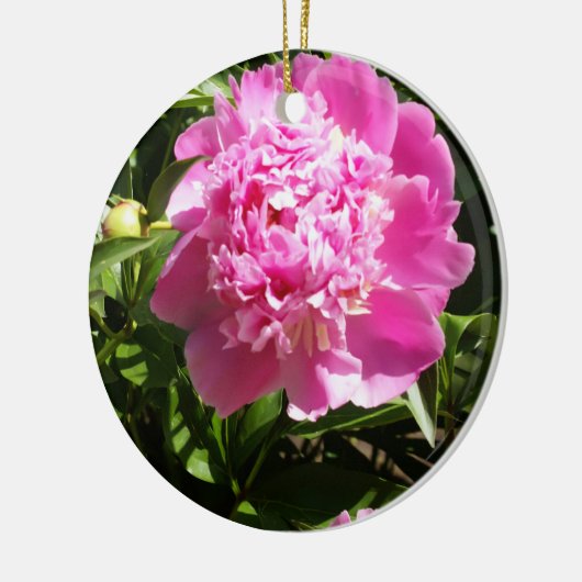 Donkerroze pinda's keramisch ornament (Links)