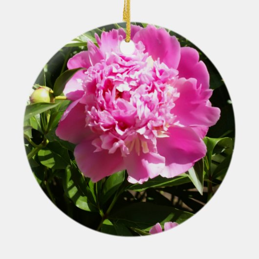 Donkerroze pinda's keramisch ornament (Achterkant)