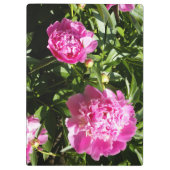 Donkerroze pinda's klembord (Achterkant)