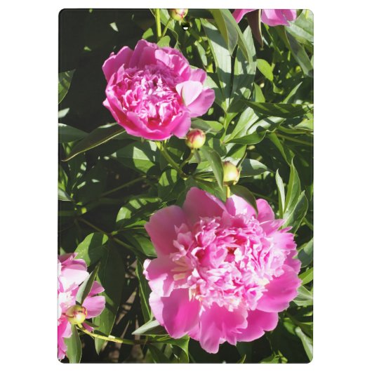 Donkerroze pinda's klembord (Achterkant)