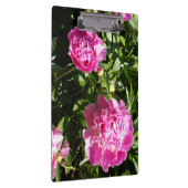 Donkerroze pinda's klembord (Rechts)