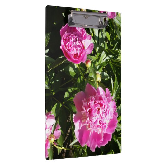 Donkerroze pinda's klembord (Rechts)