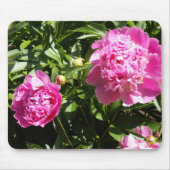 Donkerroze pinda's muismat (Voorkant)