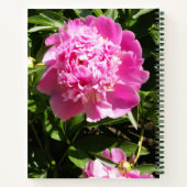 Donkerroze pinda's notitieboek (Achterkant)