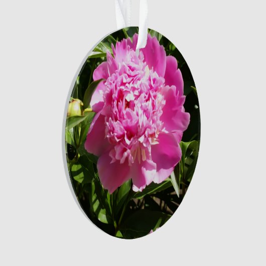 Donkerroze pinda's ornament (voorkant)