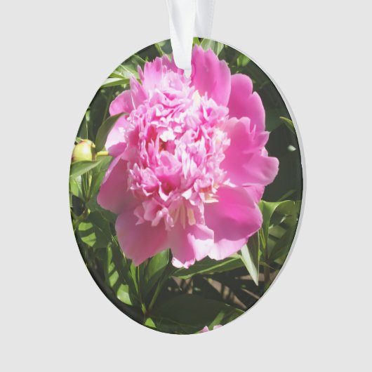 Donkerroze pinda's ornament (voorkant)