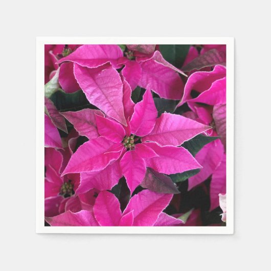 Donkerroze Poinsettia Servet (Voorkant)