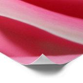 Donkerroze Rose 01 Poster (Hoek)