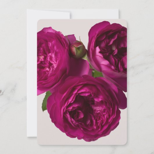 Donkerroze roses Romantic Wedding Kaart (Achterkant)