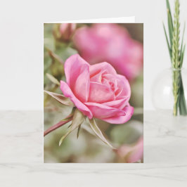 Donkerroze roze Kaart 2 Corinthians 2:14